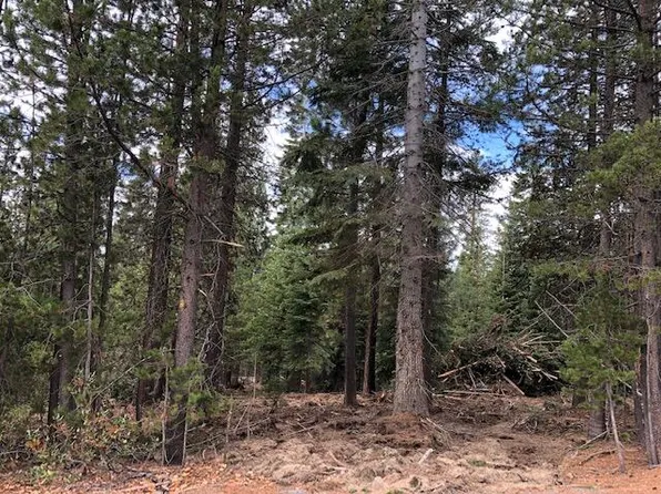31 Clear Spring Way, Crescent, OR 97733