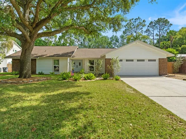11709 ROLLING OAKS LANE, TAMPA, FL 33618