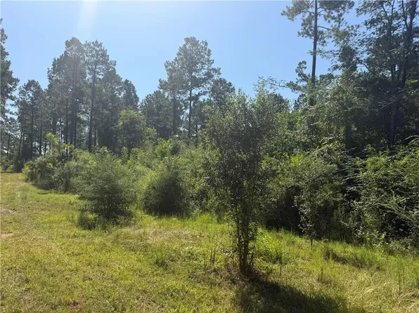 Crooked Creek Rd, Kentwood, LA 70444