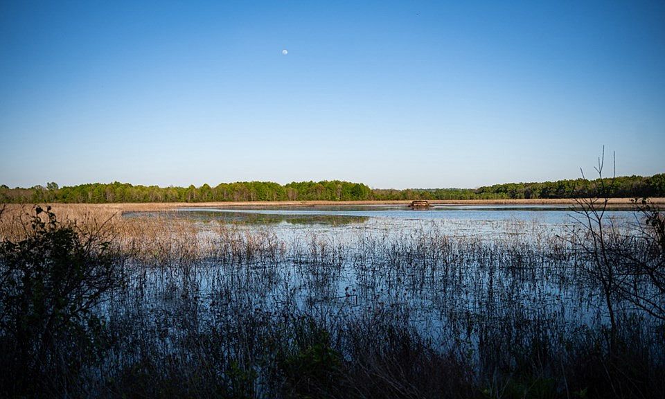 10th image of this home