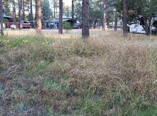 2966 Teddy Bear Trl, Overgaard, AZ 85933