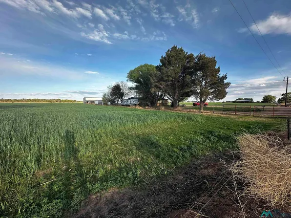 2070 Realwind Dr, Fort Sumner, NM 88119