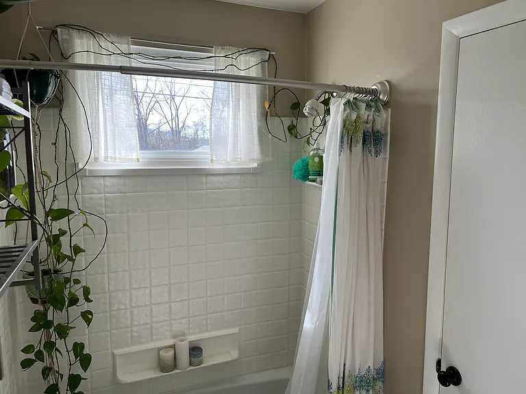 hall bathroom (example with furnishing)
