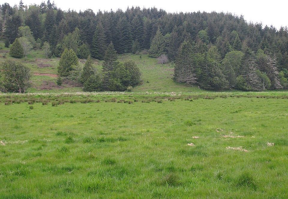 2nd image of 54794 Bear Creek Rd
