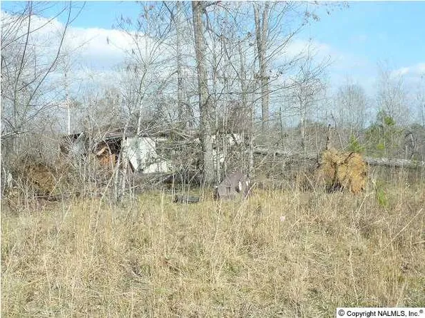 272 Parkwood Ln, Arab, AL 35016