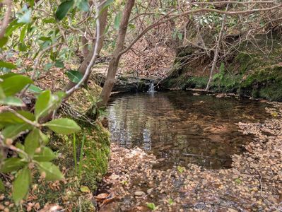 0 Lewis Ford Rd, Brookneal, VA, 24528