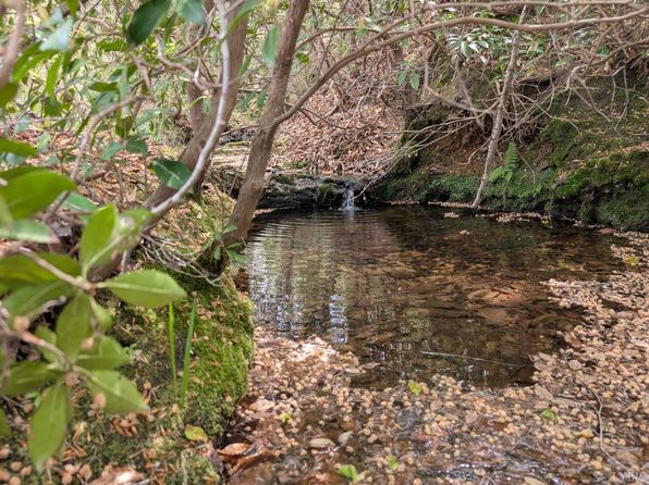0 Lewis Ford Rd, Brookneal, VA 24528