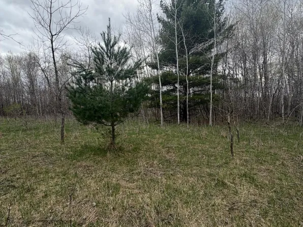 Ottawa Dr, Browerville, MN 56438