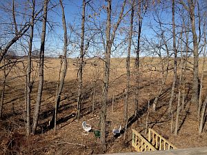 5th image of 441 E East Cedar Ct