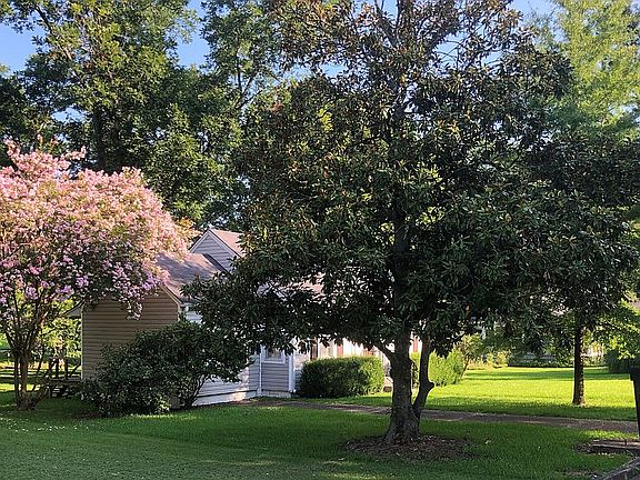 2nd image of 103 White Dr