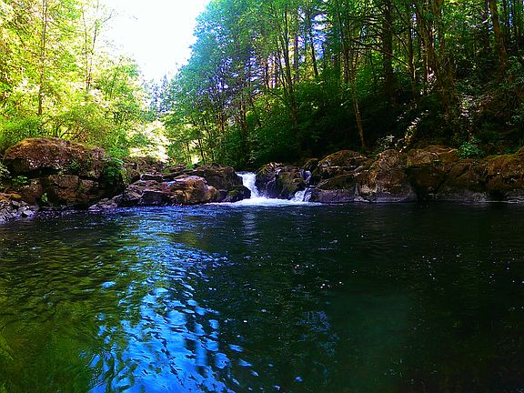 hike Rock Crk from backyard