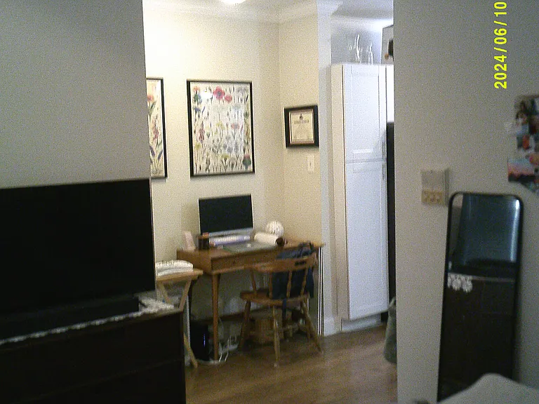 3819 N Greenview Ave #1E — Photo 4