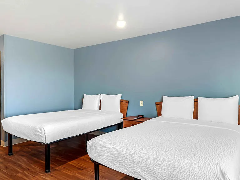 Studio Suite - 2 Full Beds