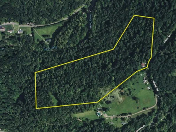 385 Brown Hill Rd, Muncy Valley, PA 17758