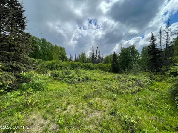 5A W Willa's Way, Willow, AK 99688