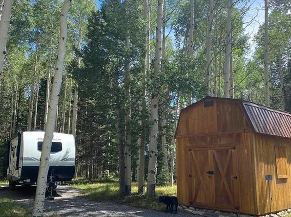 1053 Hazel Lake Drive, Cimarron, CO 81220