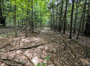 Buck Hollow Rd, Beaver Dams, NY 14812