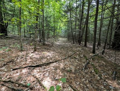 Buck Hollow Rd, Beaver Dams, NY, 14812