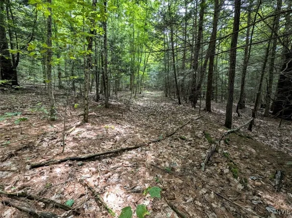 Buck Hollow Rd, Beaver Dams, NY 14812