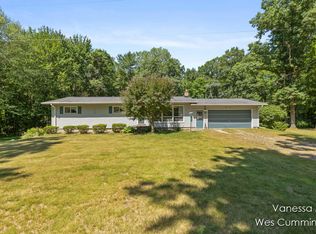 8233 Johnson Rd, Belding, MI 48809