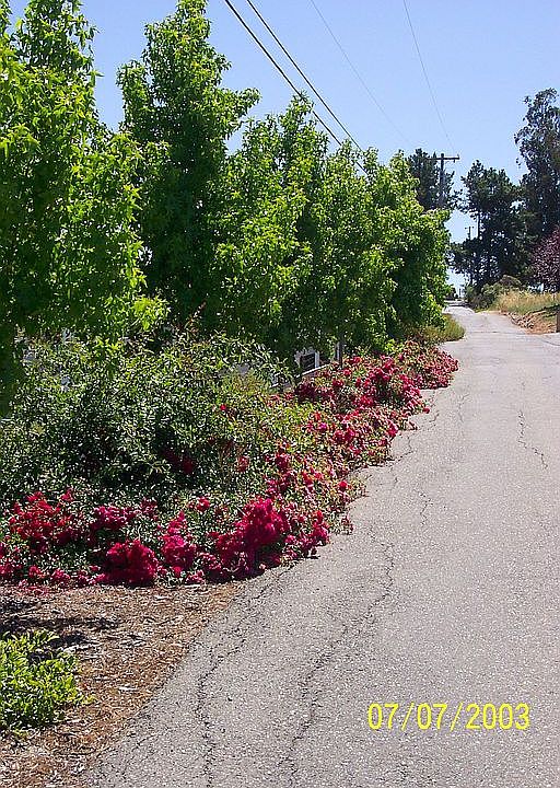 Fontage on private road