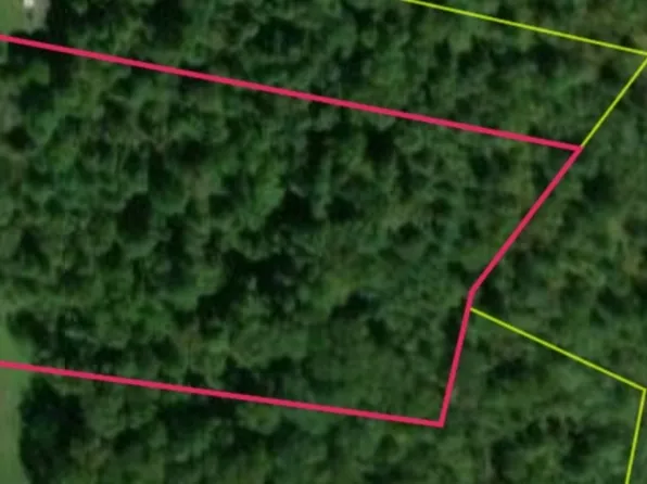 0 Ferguson Rd, Cornersville, TN 37047