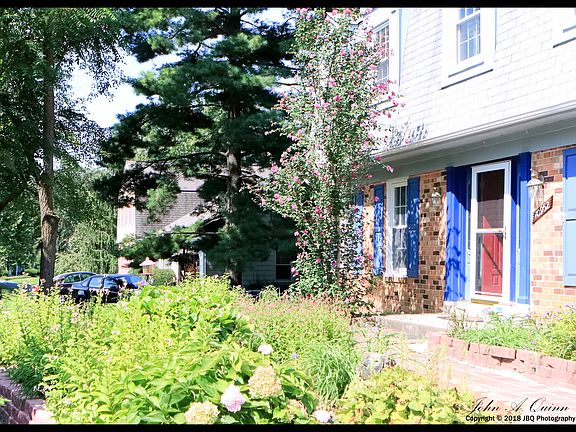 Front raised garden.