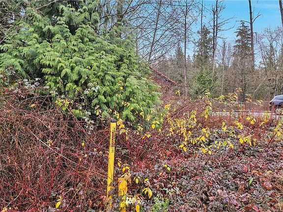 5th image of 18821 Crown Ridge Blvd