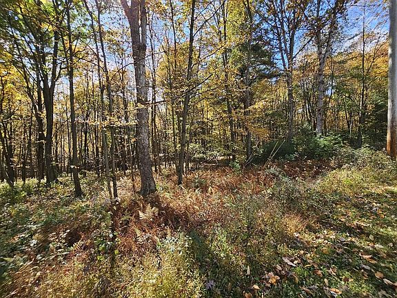 5th image of LOT 8 Longhorn Rd
