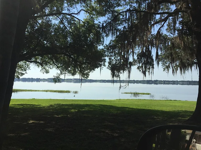 Daytime at the Lake