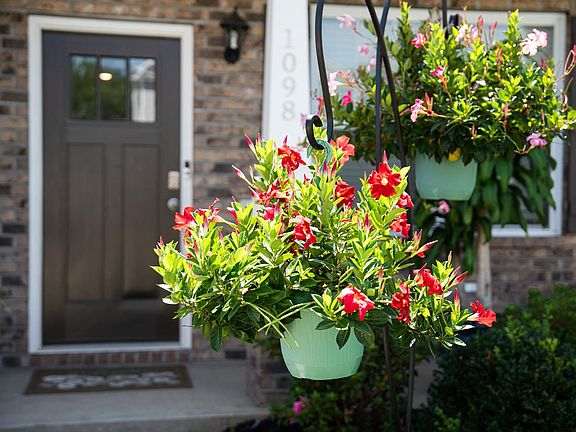 5th image of 1098 Elmswell Ln