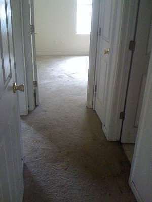 2nd image of 4370 Steeplechase Dr