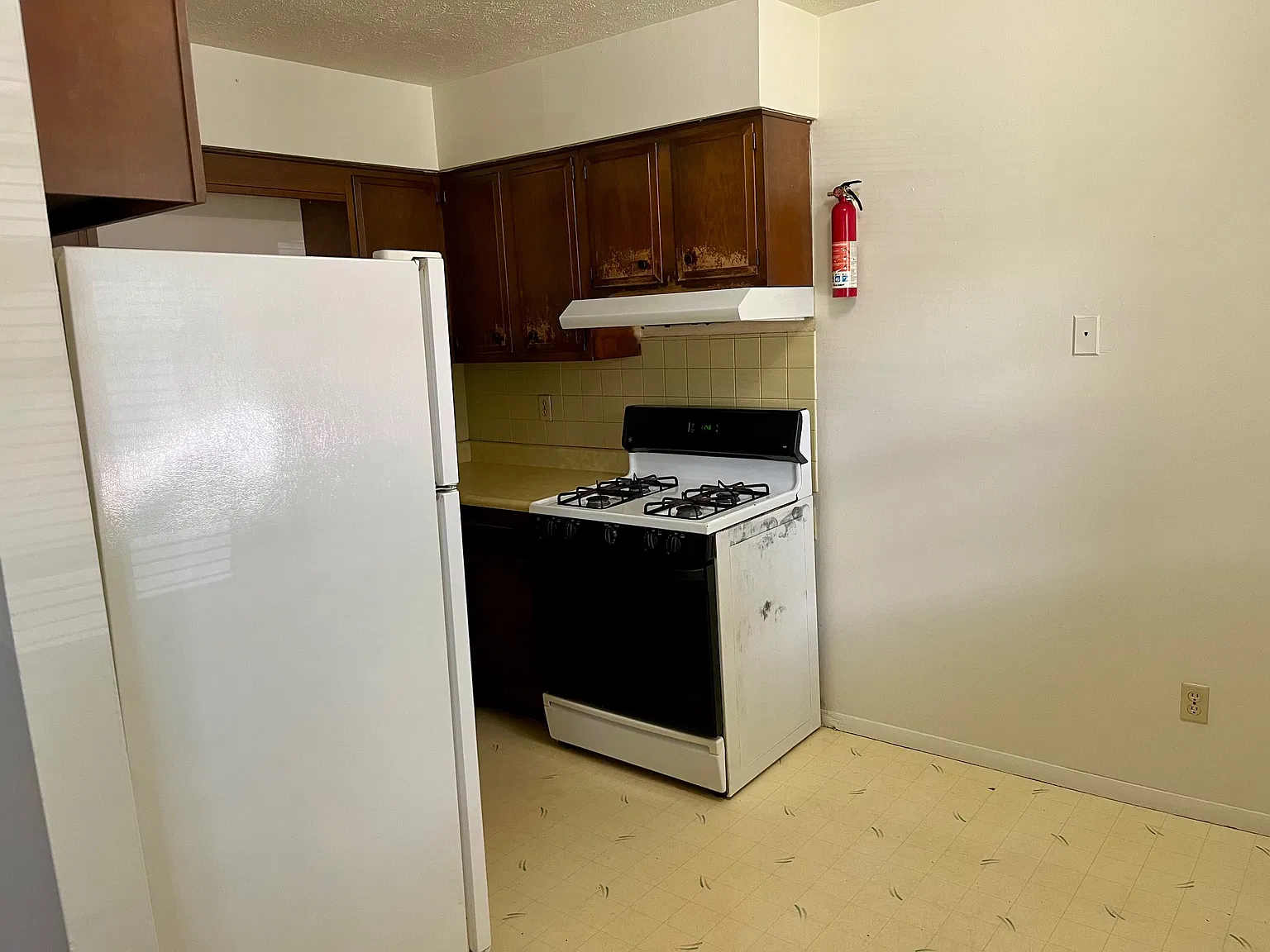 2 bed, 900 sqft, $1,000 — Photo 3