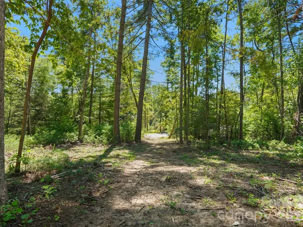 15 Mirehouse Run, Asheville, NC 28803