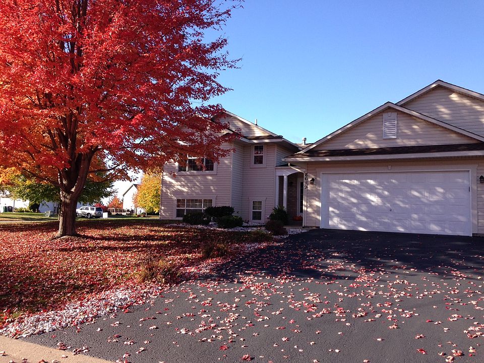 Two large red maple trees!!