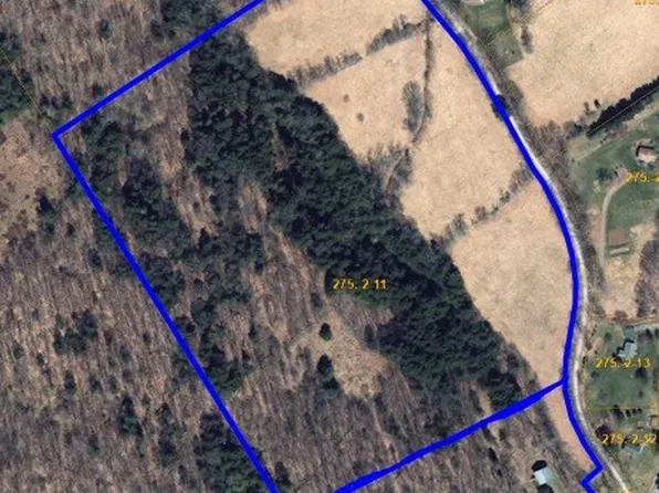 Budine Hill Rd Lot 11, Walton, NY 13856