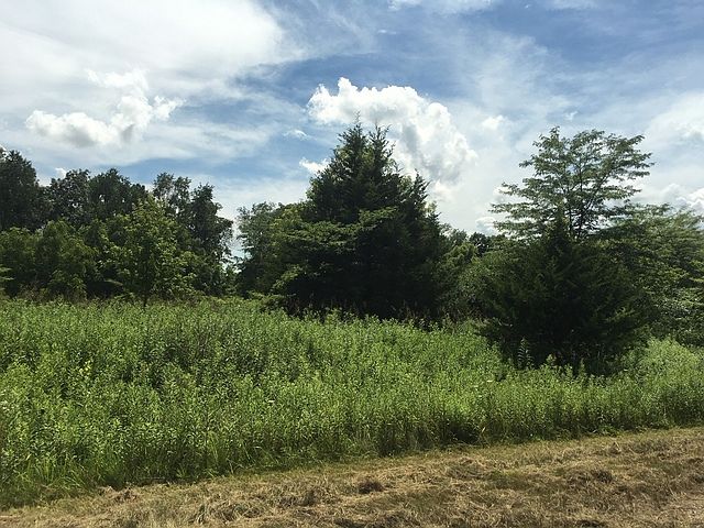 2nd image of LOT 3 N 675th Ave