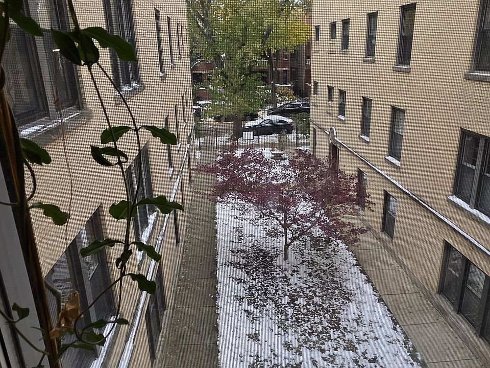After Chicago's first snow