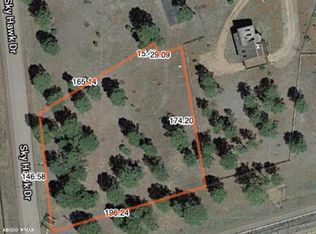 2737 Sky Hawk Dr, Overgaard, AZ 85933