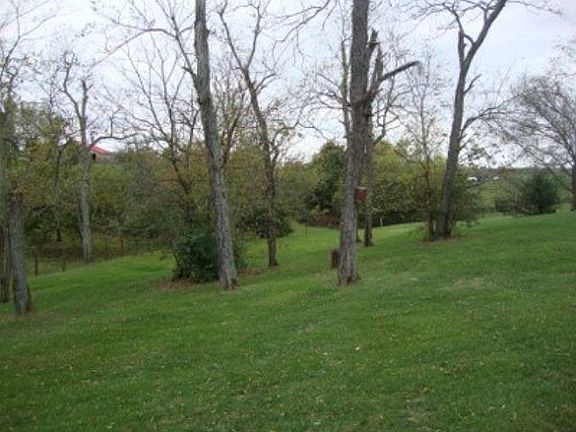 5th image of 111 Crutcher Pike