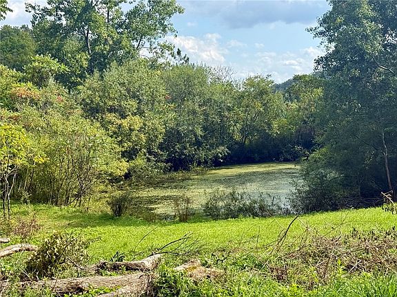 4th image of 10259 Avery Hollow Rd
