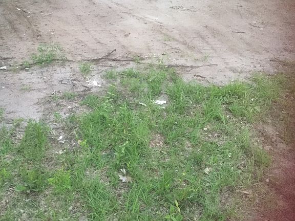 Clear section for house, etc