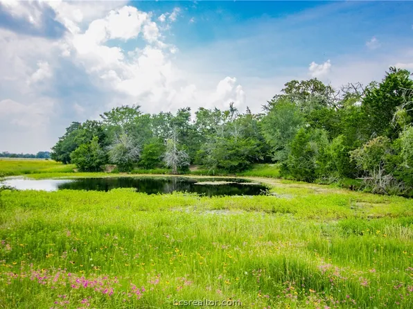 County Road 130 #19.04, Somerville, TX 77879