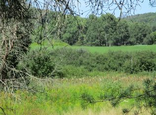 LOT 1 State Route 80 Lot 1, Smyrna, NY 13464