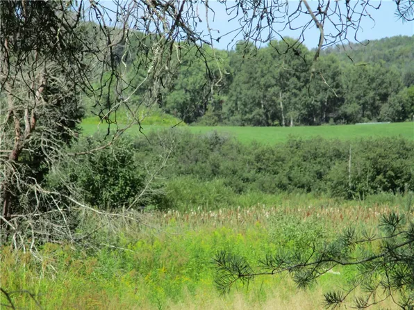 LOT 1 State Route 80 Lot 1, Smyrna, NY 13464