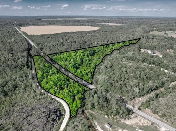 0 Davis Bridge Rd, Williston, SC 29853