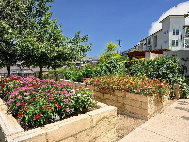 Sage Stone Oak-30