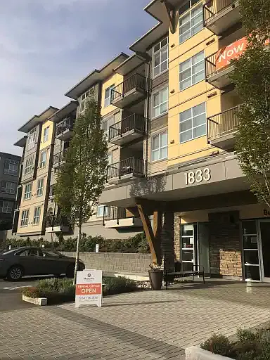 3 bed, 2.0 bath, 1030 sqft, $2,300 — Photo 3