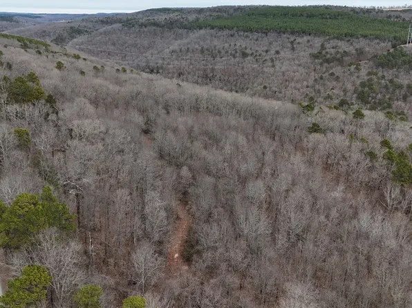 0 Old Brewer Rd, Edgemont, AR 72044