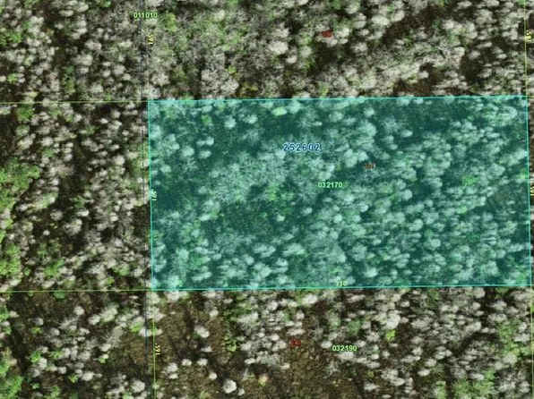 25-26-02-000000- Deen Still Rd #B-224, Polk City, FL 33868